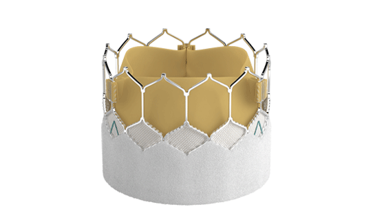 Edwards SAPIEN 3 transcatheter heart valve