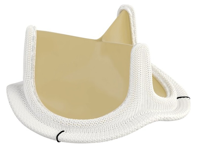 INSPIRIS RESILIA Aortic Valve