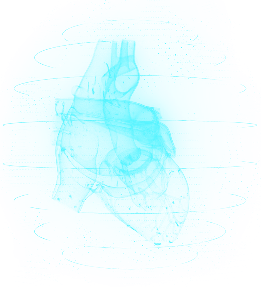 LuX-Valve (TTVR)